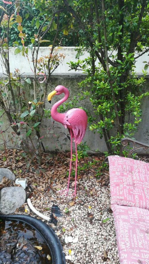 1 Stanza Aeroporto Venezia - Ricarica Elettrica Appartement Mogliano Veneto Buitenkant foto